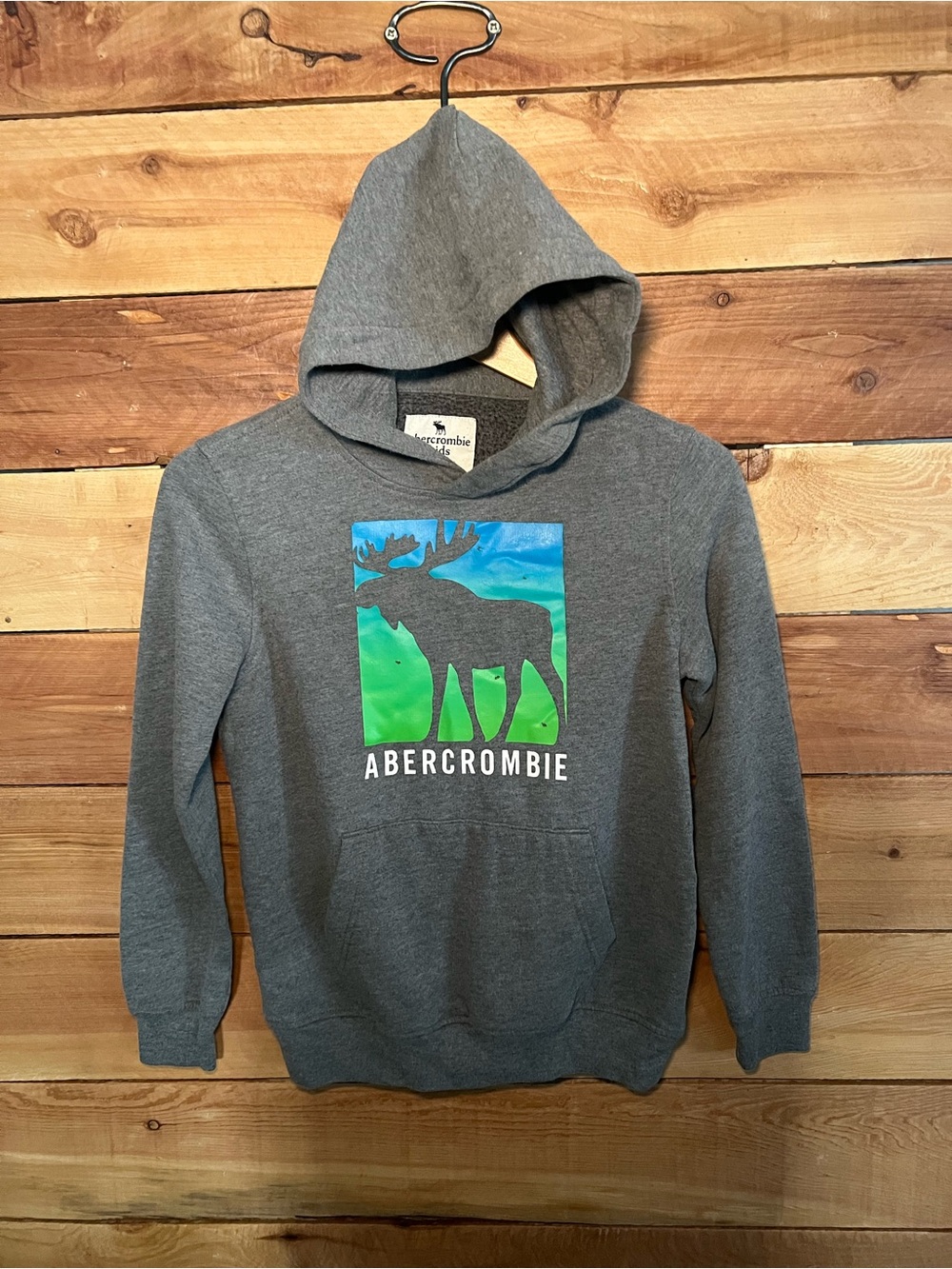 abercrombie kids Gray Hoodie with Blue and Green Moose Graphic